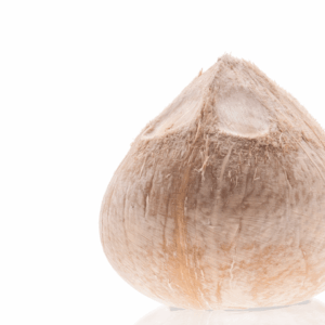 มะพร้าวน้ำหอม ***เนื้ออ่อนอร่อยปกติ*** สวนลุงวิทยา สามพราน นครปฐม