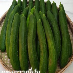 แตงกวาญี่ปุ่น 1 กิโลกรัม