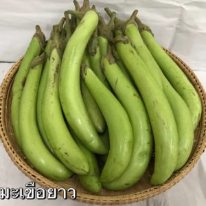 มะเขือยาว 1 กิโลกรัม วังรีคลีน