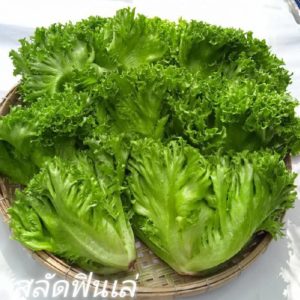 สลัดฟิลเลย์  200 กรัม วังรีคลีน