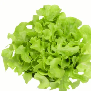 สลัดกรีนโอ๊ค  200 กรัม วังรีคลีน