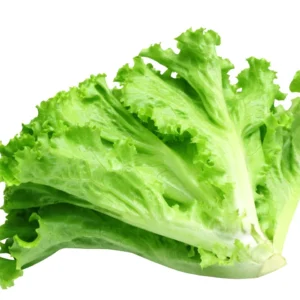 ผักกาดหอม  200 กรัม วังรีคลีน