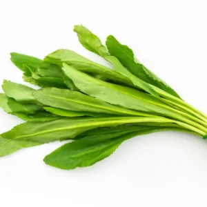 ผักชีฝรั่ง 1 กิโลกรัม วังรีคลีน