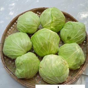 กะหล่ำปลีกลม 1 กิโลกรัม วังรีคลีน