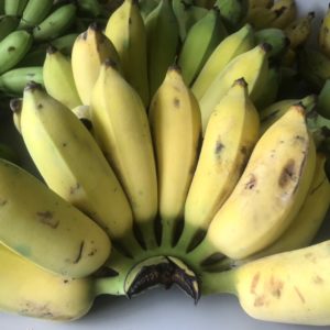 กล้วยน้ำว้าสุก ราคา65บาท/กิโลกรัม วังรีคลีน น้ำหนักต่อหวีอาจมากิโลกรัมว่าหรือน้อยกว่า 1กิโลกรัม