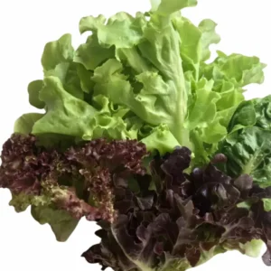 สลัดรวม  200 กรัม วังรีคลีน