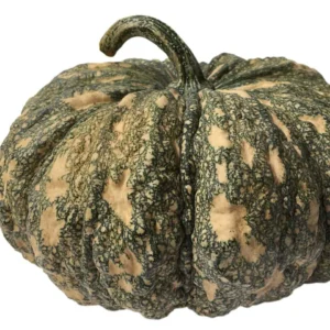 ฟักทองไทย 1 กิโลกรัม วังรีคลีน