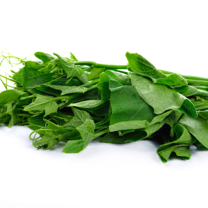 ยอดฟักแม้ว  300 กรัม วังรีคลีน