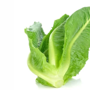 สลัดคอส  200 กรัม วังรีคลีน