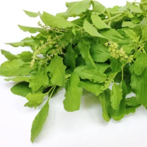 ใบกะเพรา 1 กิโลกรัม วังรีคลีน