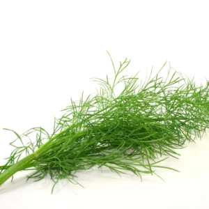 ผักชีลาว 100 กรัม วังรีคลีน