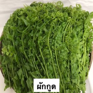 ผักกูด 1 กิโลกรัม วังรีคลีน