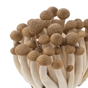 เห็ดชิเมจิ 300 กรัม วังรีคลีน