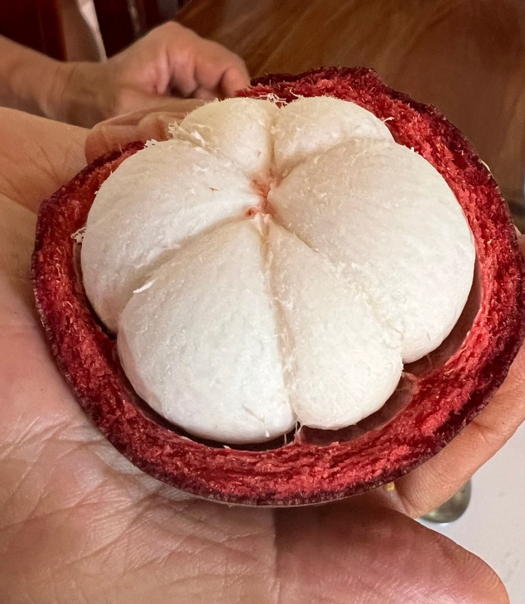 มังคุดออแกนิค คละขนาด15-24ลูก/กก. มาตรฐาน Organic Thailand สวนนิรามิสสุข จ.ตราด - Image 3