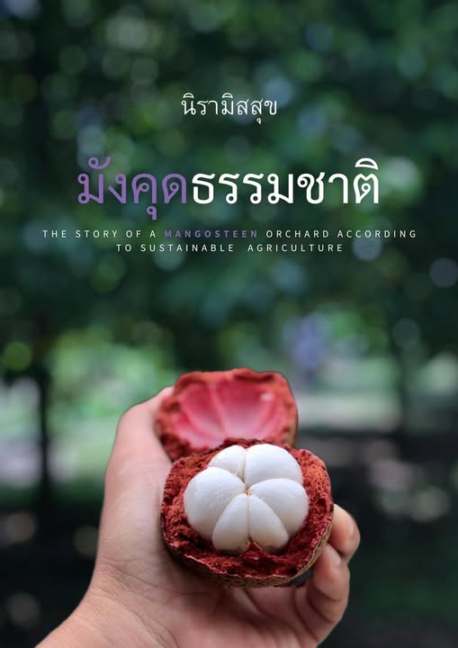 มังคุดออแกนิค คละขนาด15-24ลูก/กก. มาตรฐาน Organic Thailand สวนนิรามิสสุข จ.ตราด