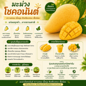 มะม่วงโชคอนันต์ออแกนิค รุ่งแสงอรุณออร์แกนิคฟาร์ม*** มาตรฐานเกษตรอินทรีย์จากสมาพันธ์เกษตรกรรมยั่งยืนลำพูน SDGsPGS 🔸ทานสุก หวานหอม