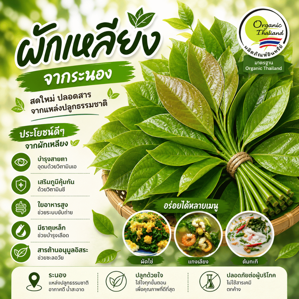 ผักเหลียง สวนมรดก มาตรฐาน Organic Thailand จ.ระนอง 200กรัม