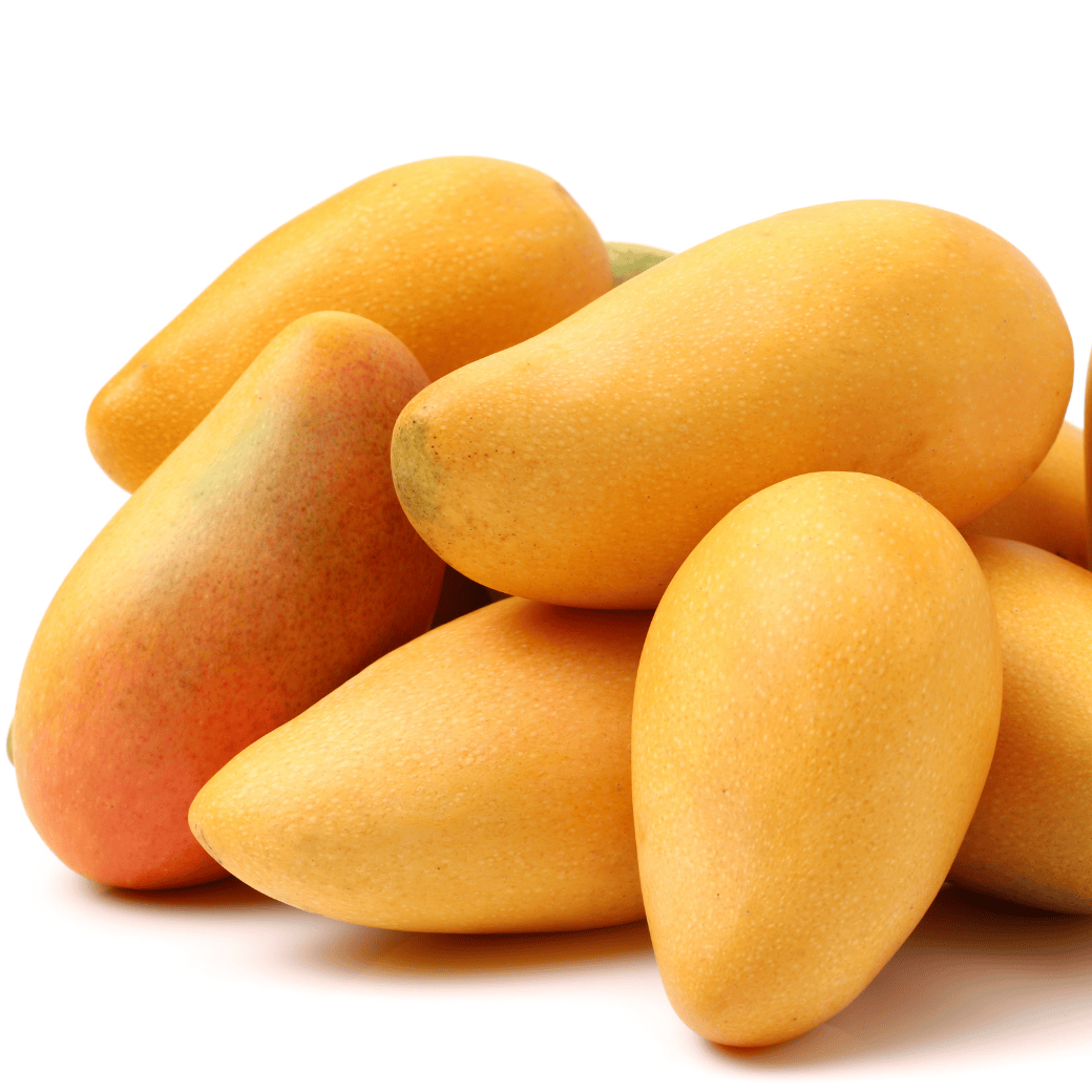 มะม่วงน้ำดอกไม้ออแกนิค วังรีคลีน กิโลกรัมละ 80 บาท