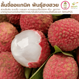 ลิ้นจี่ออแกนิค พันธุ์ฮงฮวย สวนอิ่มสิน อ.แม่ใจ จ. พะเยา 45+-ลูก/กก. หวานอมเปรี้ยวนิดๆ
