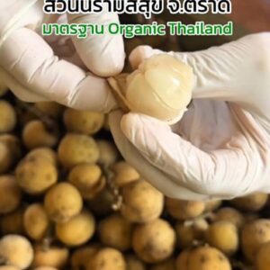 ลองกอง กล่องละ3 กิโลกรัม ส่งตรงถึงบ้านจากสวนนิรามิสสุข จ.ตราด มาตรฐาน Organic Thailand