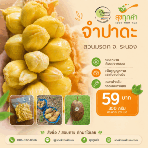 จำปาดะ Organic Thailand จากสวนมรดก จ.ระนอง 300กรัม แช่แข็ง แพ็คสูญญากาศ